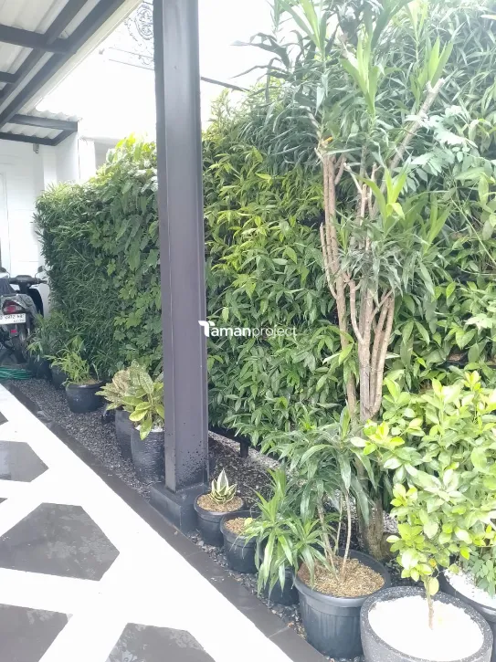 taman kering, zen garden, taman vertikal, vertical garden, bsd tangerang